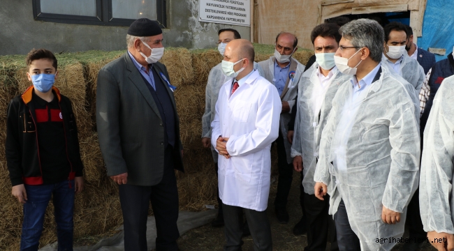 Ağrı'da Etçi ve Kombine Irkların Yaygınlaştırılması Projesi 