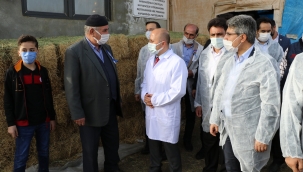 Ağrı'da Etçi ve Kombine Irkların Yaygınlaştırılması Projesi 