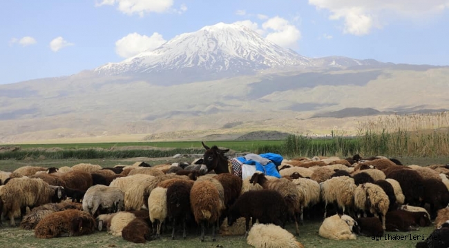 2. Ulusal Foto Safari Yarışmasında Çekilen Fotoğraflar ile Ağrı ve İlçeleri Tanıtılacak