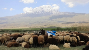 2. Ulusal Foto Safari Yarışmasında Çekilen Fotoğraflar ile Ağrı ve İlçeleri Tanıtılacak