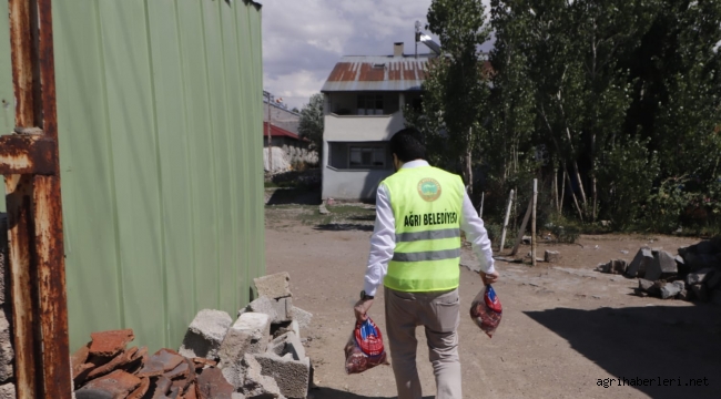 SAVCI SAYAN KASAP OLDU ET KESTİ