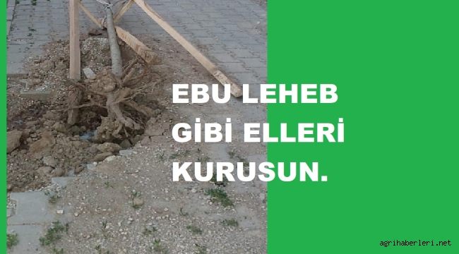 YEŞİLE DOKUNAN ELLER KIRILSIN