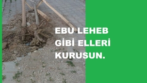 YEŞİLE DOKUNAN ELLER KIRILSIN