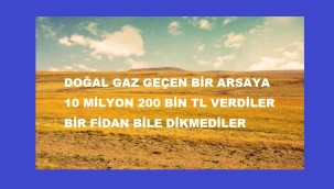 RET OYU VERDİĞİ ÇAYIRA 10 MİLYON 200 BİN TL ÖDEDİ 11 AYDIR BİR FİDAN DİKMEDİ
