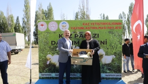 Ağrı'da 100 çiftçiye 5000 kaz palazı dağıtıldı.