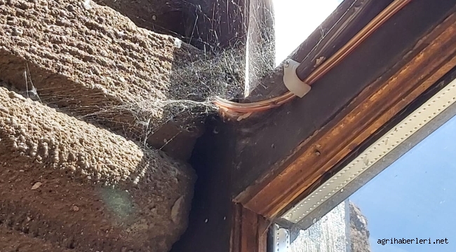 AHMED-İ HANİ HAZRETLERİ TÜRBESİNDEN KİM SORUMLU?