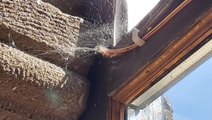 AHMED-İ HANİ HAZRETLERİ TÜRBESİNDEN KİM SORUMLU?