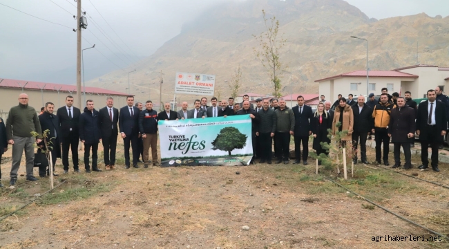 DOĞUBAYAZIT'TA FİDANLAR TOPRAK İLE BULUŞTU