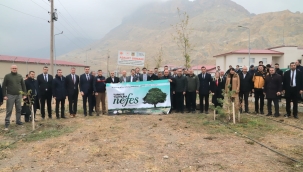 DOĞUBAYAZIT'TA FİDANLAR TOPRAK İLE BULUŞTU