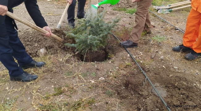 ERDOĞAN ADINA DOĞUBAYAZIT'TA FİDAN DİKTİLER