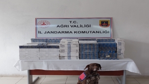 KAÇAKÇILIK İLE MÜCADELEDE KARARLIYIZ