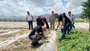 DOĞUBAYAZIT KAYMAKAMI EKİNCİ, BARINDI VE BUYURETTİ ÇİFTÇİLERİ İLE BERABER