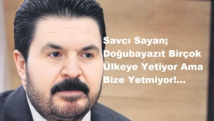 SAVCI SAYAN NE DİYOR?