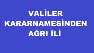 Valiler Kararnamesinin en kazançlı ili Ağrı oldu