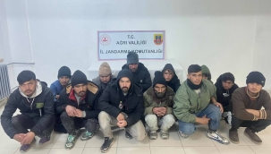 Doğubayazıt Jandarma 117 Göçmen Yakaladı