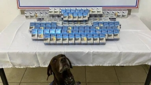 Doğubayazıt'ta kaçakçılıkla mücadele de kaçak sigara ele geçirildi 