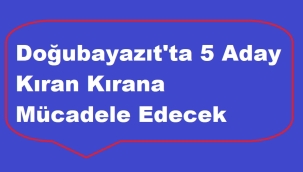 Doğubayazıt Belediye Başkanlığı İçin 5 Aday Yarışacak