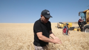 Ağrı Valisi Mustafa KOÇ, Tutak ilçesine giderek çiftçiler ile beraber buğday hasadı yaptı.