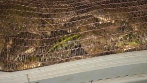 Doğubayazıt ilçesinde kurbağa avcılarına 1 milyon 548 bin lira ceza