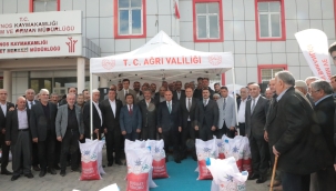  AĞRI'NIN PATNOS İLÇESİNDE %70 HİBE İLE 300 ÇİFTÇİYE 300 TON BUĞDAY