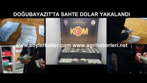 Doğubayazıt'ta bir evde sahte dolar ele geçirildi.