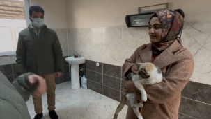 DOĞUBAYAZIT'TA  MODERN VE GENİŞ BİR HAYVAN BARINAĞINI İÇİN ÇALIŞMALAR BAŞLADI.