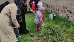 Doğubayazıt'ta 4-6 Yaş Kur'an Kursu Öğrencileri Cami Bahçesine Fidan Dikti