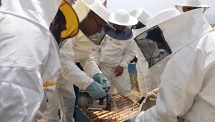 Ağrı Valisi Mustafa Koç ve Eşi Taşlıçay'da Bal Hasadına Katıldı