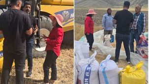 Doğubayazıt'ta Biçerdöver Kontrolleri Yapıldı