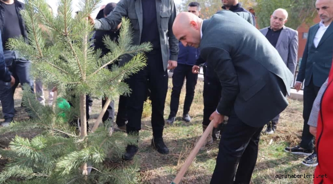 Doğubayazıt Daha Yeşil Bir Gelecek İçin Fidanlarla Buluştu