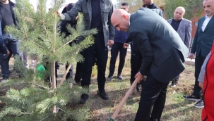 Doğubayazıt Daha Yeşil Bir Gelecek İçin Fidanlarla Buluştu
