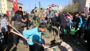 Türkiye Yeşeriyor, Gazze Güçleniyor Projesi Kapsamında Öğrenciler Fidanlar Dikti