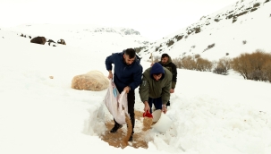 Ağrı'da Kış Şartların Ağır Geçmesinden Dolayı AİÇÜ Tarafından Yaban Hayvanlar İçin Doğaya Yem Bırakıldı