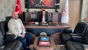 Ağrı Eğitim ve Araştırma Hastanesi'nden Bir Günde 5.017 Muayene, 60 Ameliyat