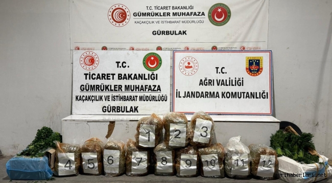 Doğubayazıt'ta Sebze Yüklü Bir TIR'da 52 Kg Esrar Ele geçirildi