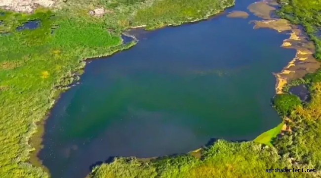 AĞRI – TENDÜREK HAVZASINDA İÇME SUYU VE HALK SAĞLIĞI: BİLİMSEL BİR UYARI VE ÇÖZÜM ÇAĞRISI